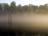 has anyone seen the bridge?