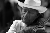 <b>3rd Place</b><br>Violinist*<br>by Pedro Fehlauer