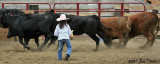 The Littlest Cowgirl