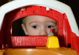 What the Toy Cow Saw from Inside the Barn