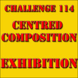 Challenge 114: EXHIBITION