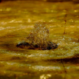 Bubbler Fountain - 1