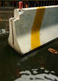 High & Dry