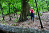 A Walk in the Woods