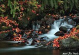 9th - Whisky Creek by Jim Thode