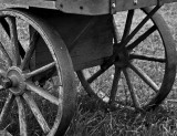 Wagon Wheels