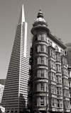 10th Place- urban dichotomy (by Michael Puff)