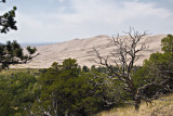 Those Incredible Sand Dunes