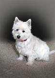 Lucy