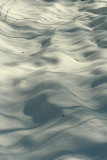 Snow Hills