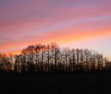Spring Sky