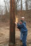 Hanging a Bluebird Box