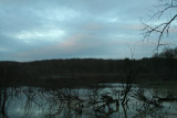 Bog Sunset