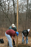 Burying Platform #2