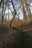 Winding Trail