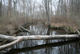 View from the Bridge