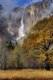 D3B_1410_2_tonemappedYosemite2A1.jpg
