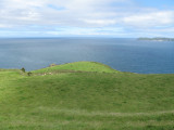 IMG_0141.JPG