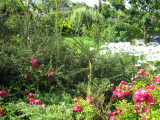 IMG_0153.JPG