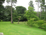 IMG_0160.JPG