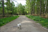 25th April 2009