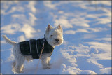 5th December 2010