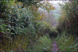 coast path near Torcross