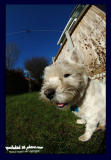 01032006 wheres this ere snow then?