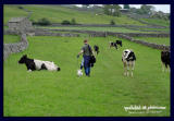 04062006 whatre YOU looking at??