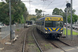 Tooronga