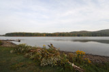 MWW_9287.jpg