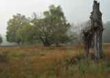 MWW_9307.jpg