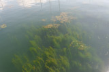 MW2_9115_DxO_raw.jpg