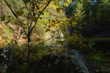 DR3_5034.JPG