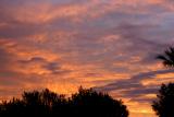 IMG_9709.JPG