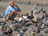 Bird Seed Seller Mumbai.jpg