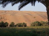 Liwa Oasis.jpg