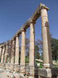 Oval Plaza 2 Jerash Jordan.jpg
