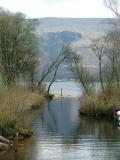Spring Loch Lomond.JPG