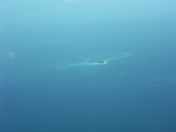 Our birthday island from the air.
