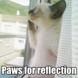 Catmacros  and random macros made by others 3 sub galleries at top