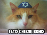 jewcheezburger.jpg