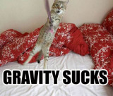GRAVITY SUCKS.jpg