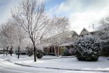 Winter Side Street