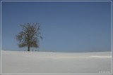 Ardennen in Winter
