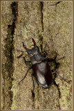 AN094027kopie2.jpg