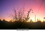 018  Morning Light In Color.jpg