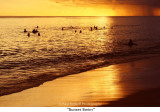 189  Sunset Swim.jpg