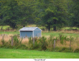 049  Small Shed.JPG