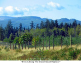 054  Fence Along The Inland Island Highway.JPG